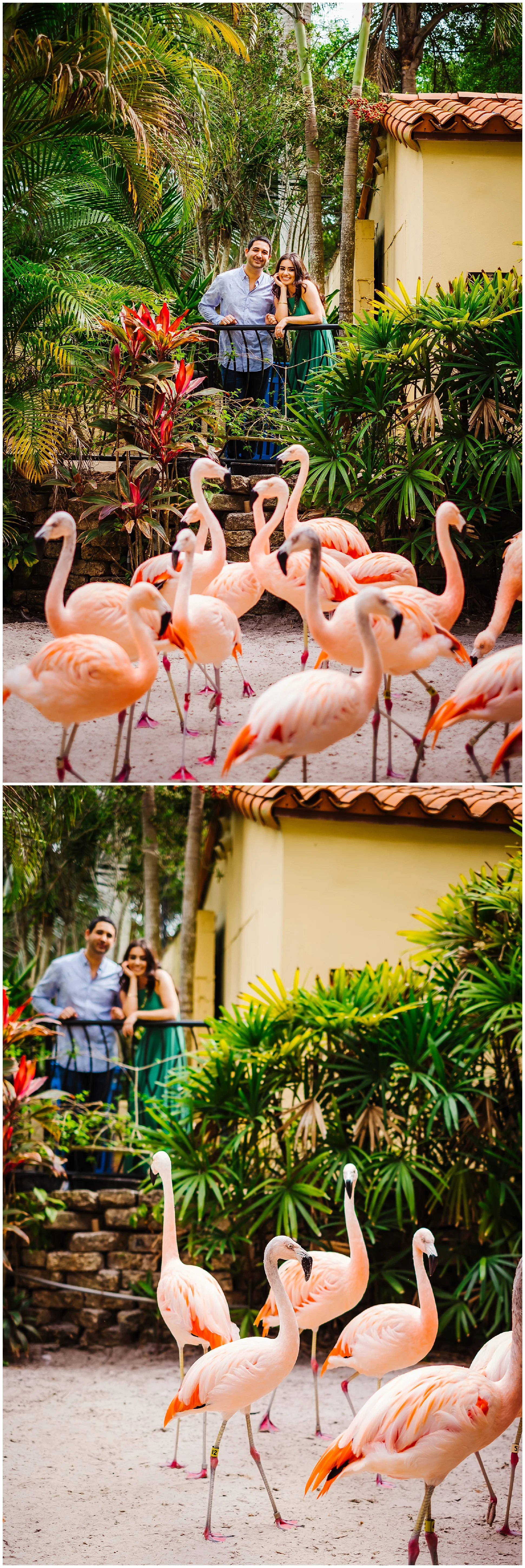 sunken-gardens-engagement-session-photos-teal-flamingos_0017.jpg