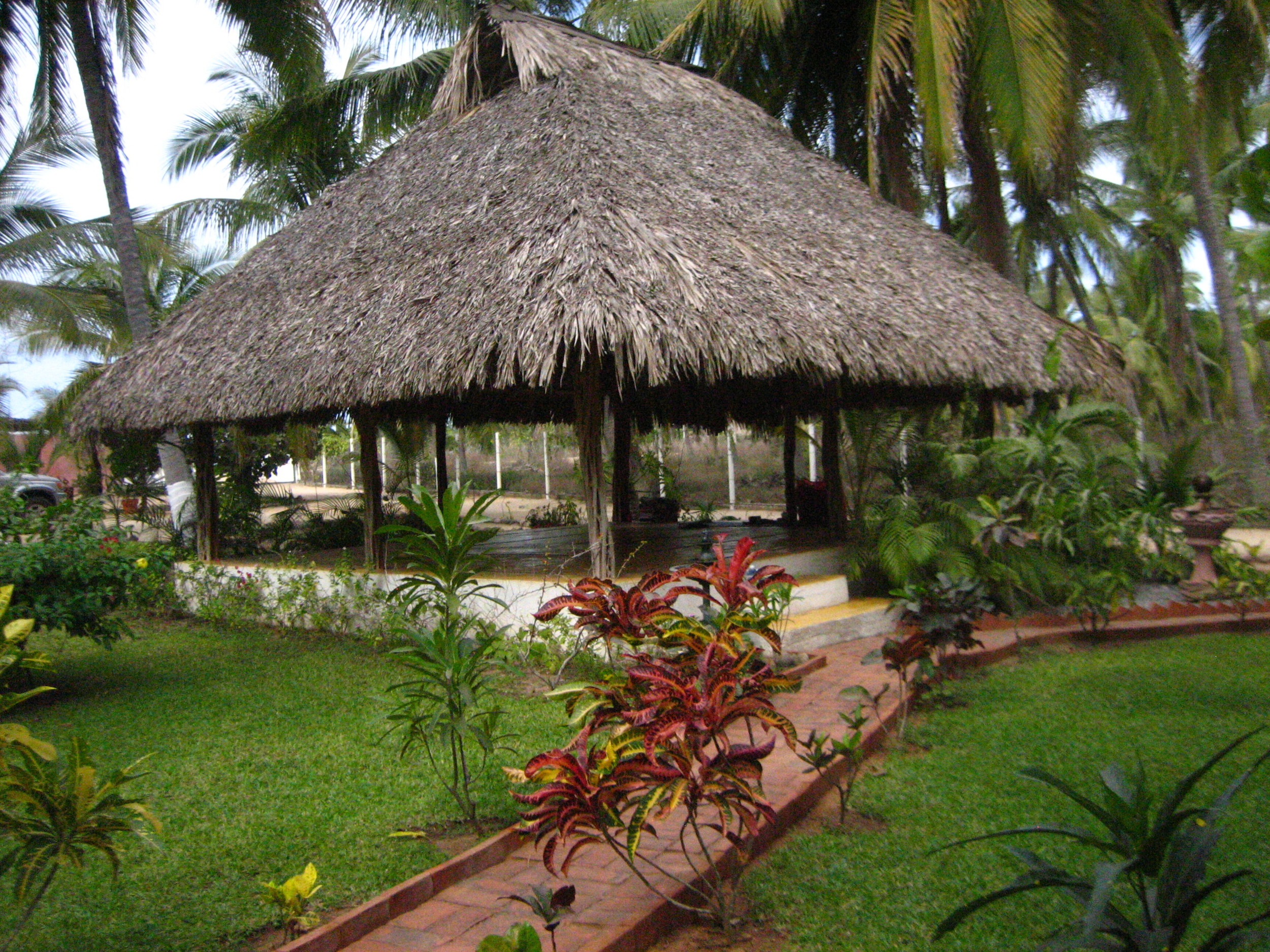 Yoga Palapa.JPG