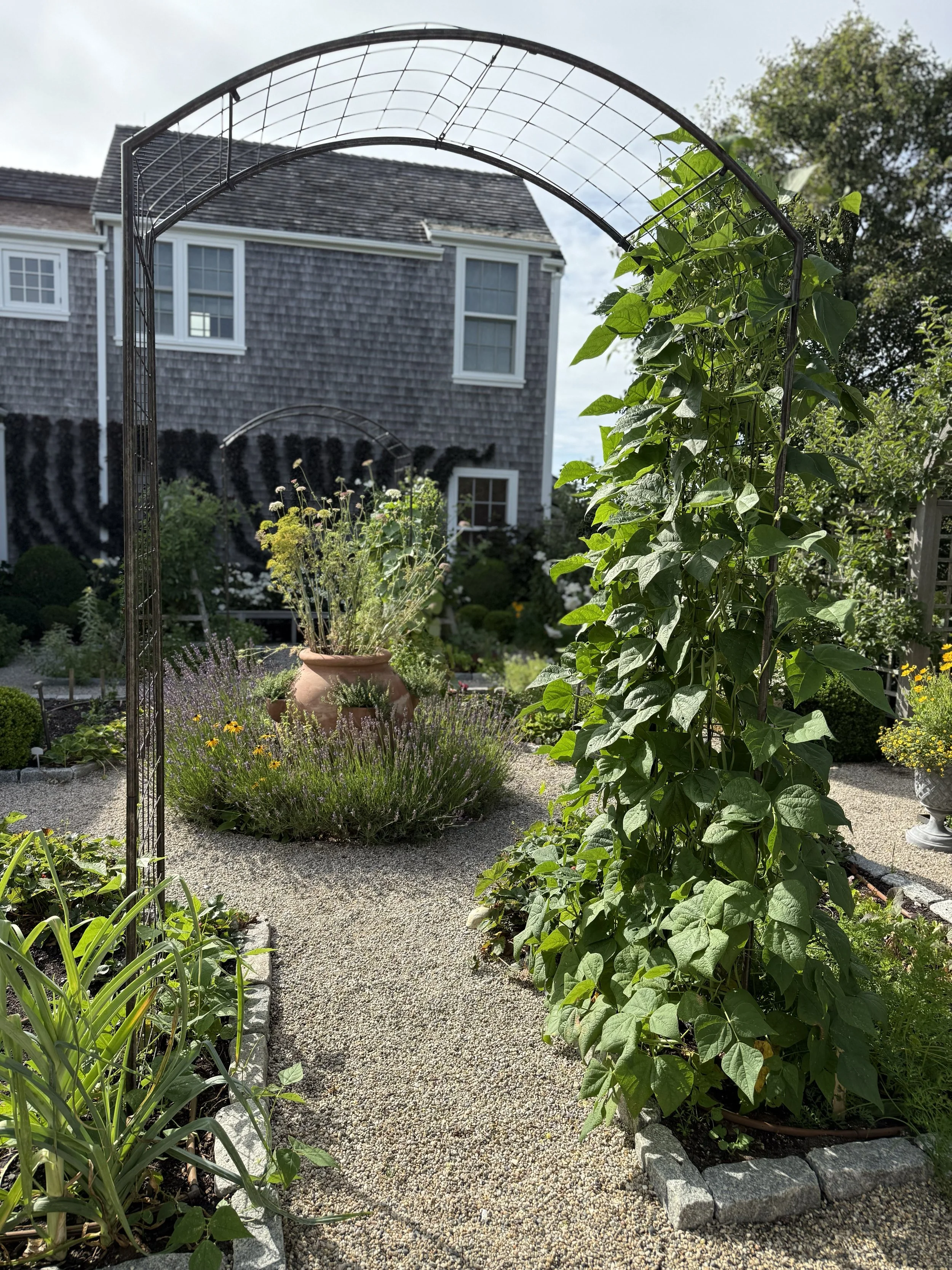 IMG_4133.jpg