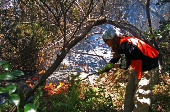 Poke that lava with a stick! There's no way this could go wrong.