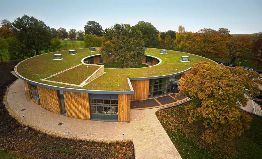 A green roof helps recapture and filter substantial amounts of rainwater, allowing a home to not only use less water, but also less heat. 