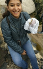 You never know what measuring field mice out in the Mojave Desert can lead to ...