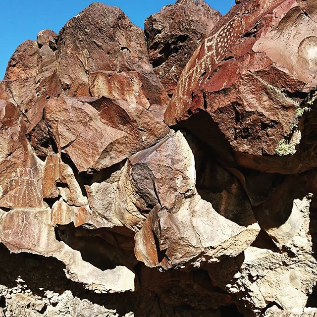 Discovered some petroglyphs near our field area. So cool! #mojavedesert  #mojaveindians #petroglyphs #desert #blueprintearth 🏜️