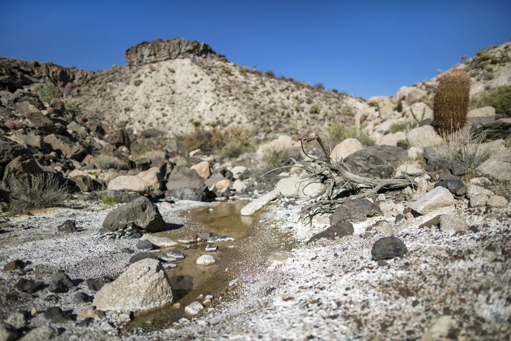 Desert in a Box015.JPG