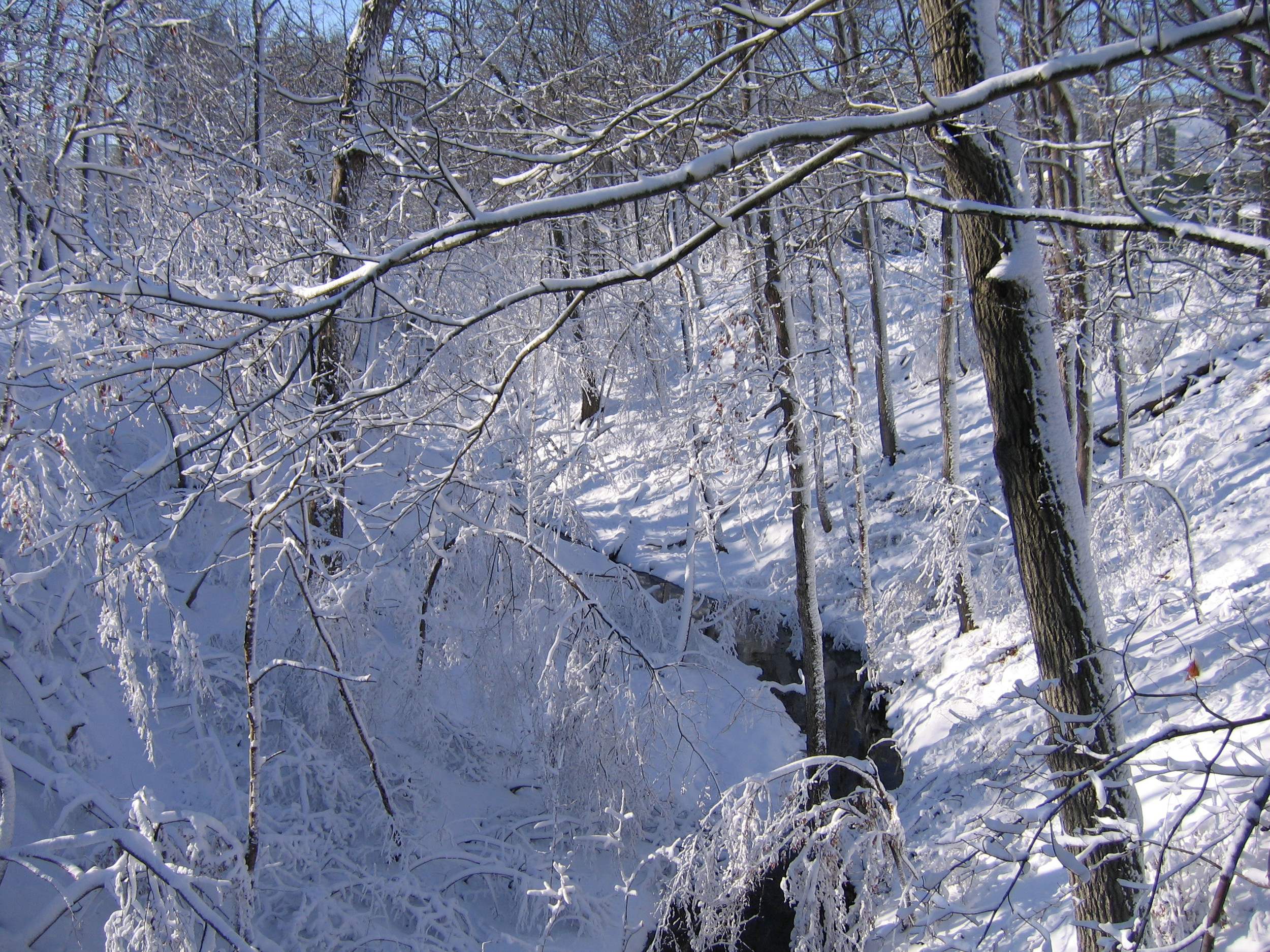 Ravine snow.JPG