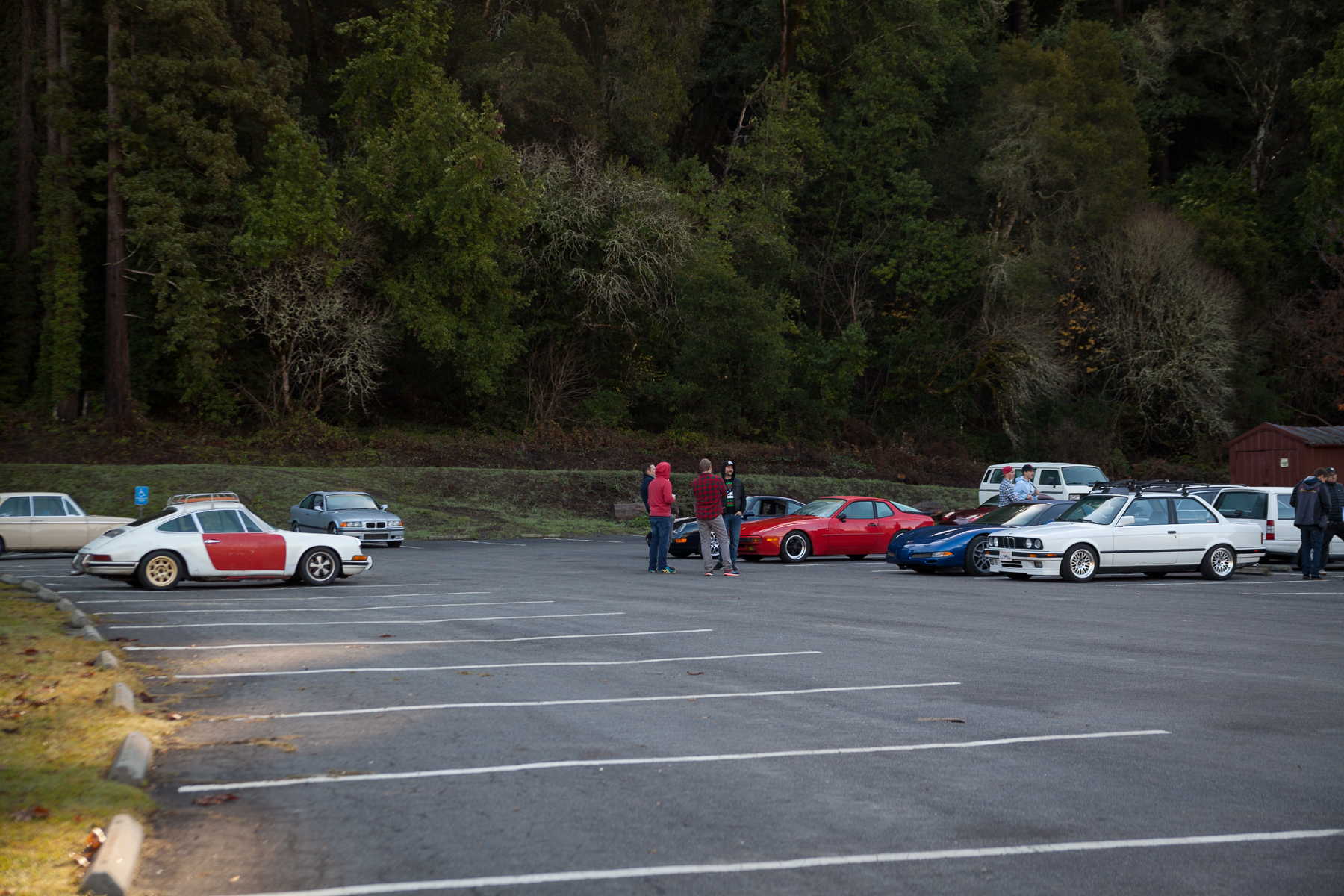 IMG_8313.jpg