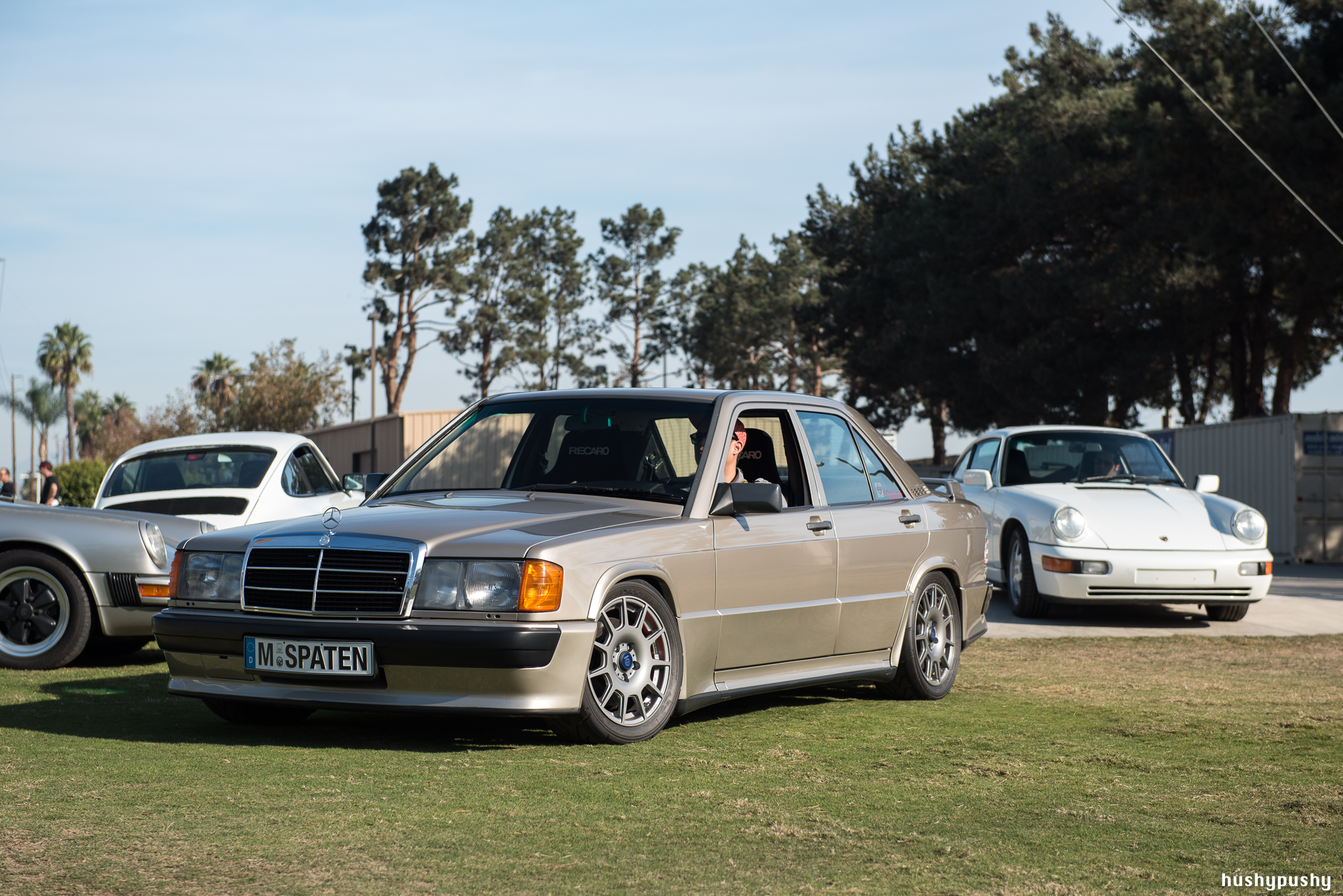 DSC_7240.jpg