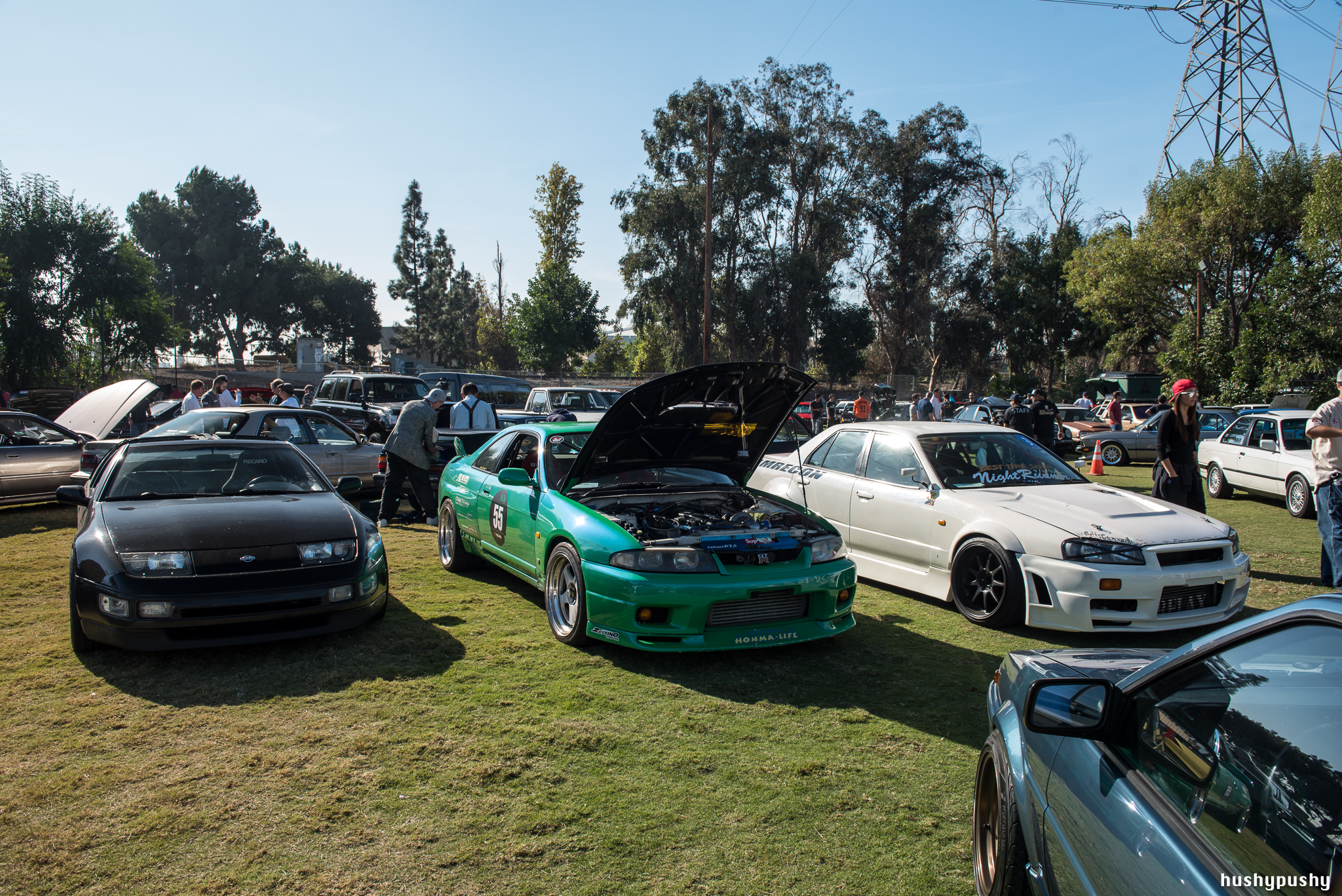 DSC_7289.jpg
