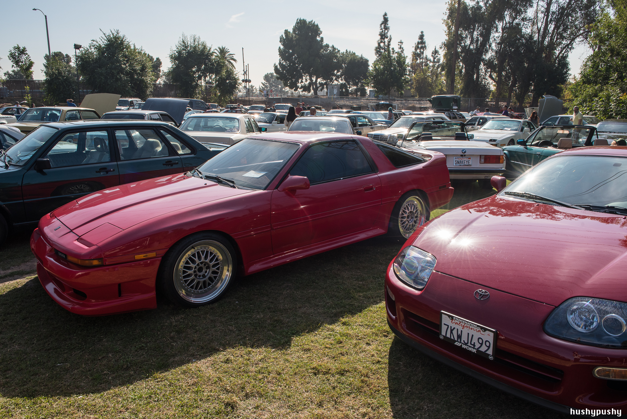 DSC_7385.jpg