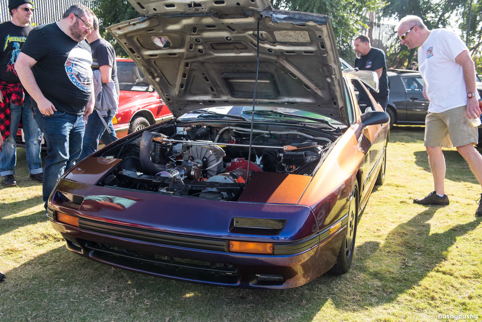 DSC_7472.jpg