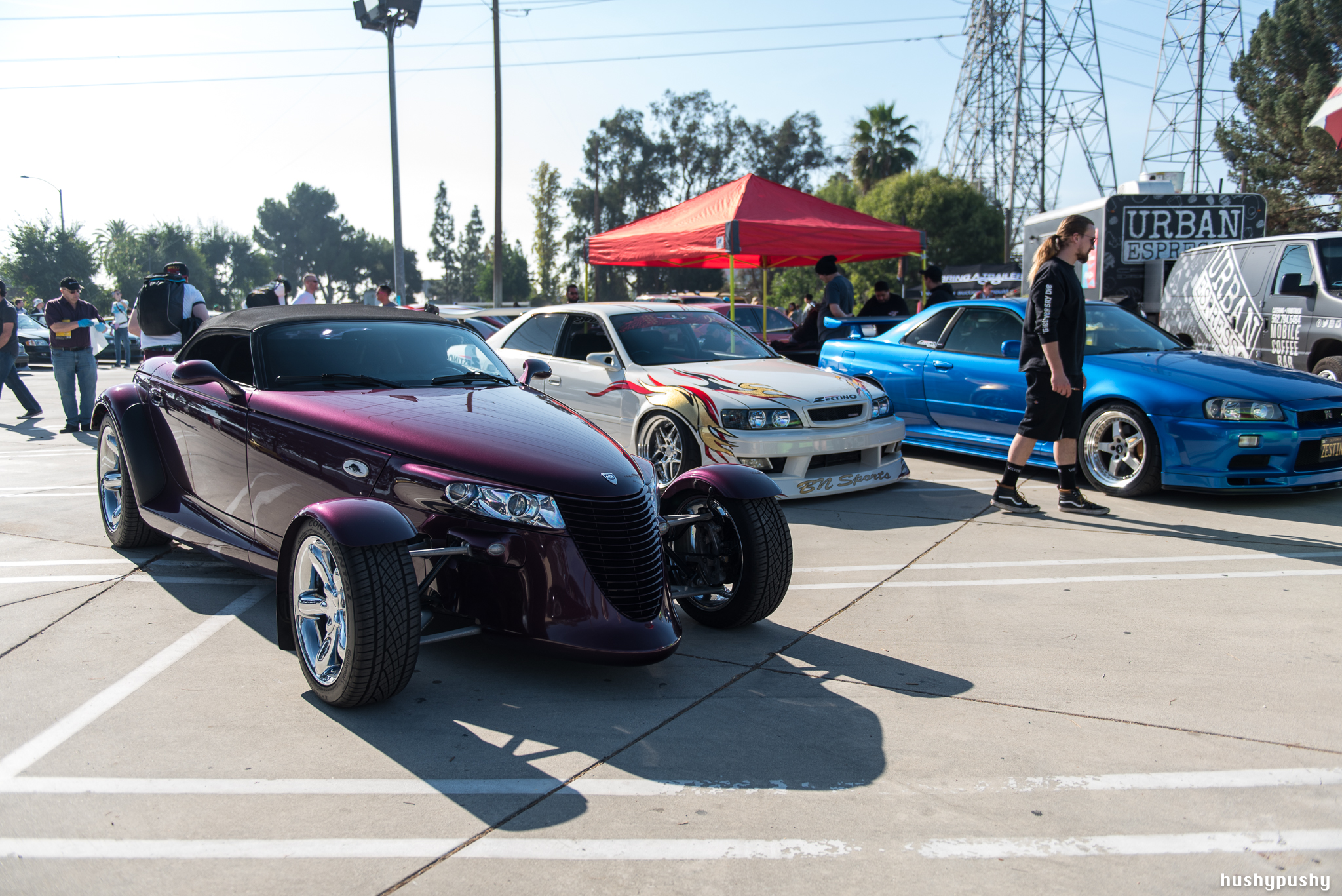 DSC_7265.jpg