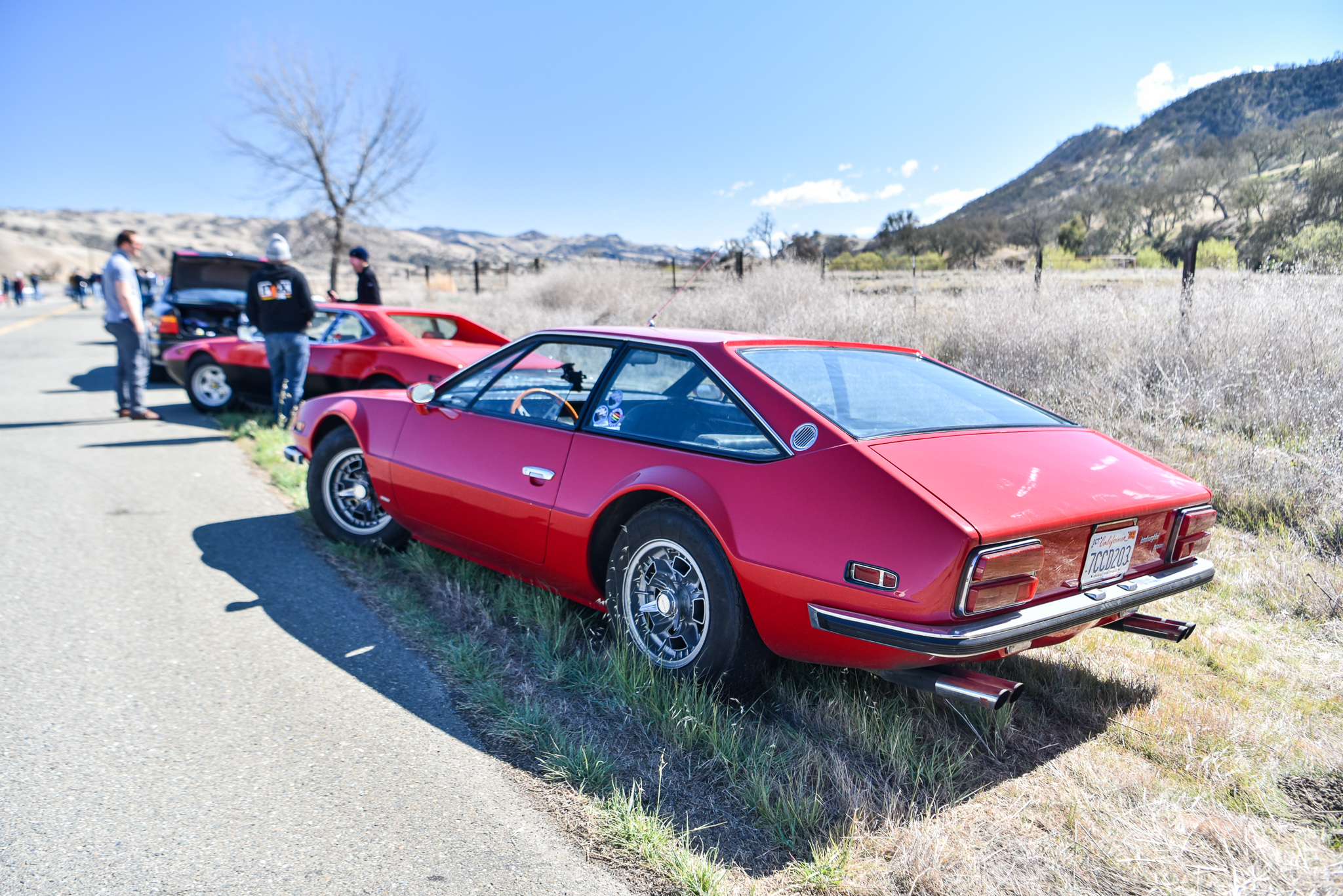 DSC_0416.jpg