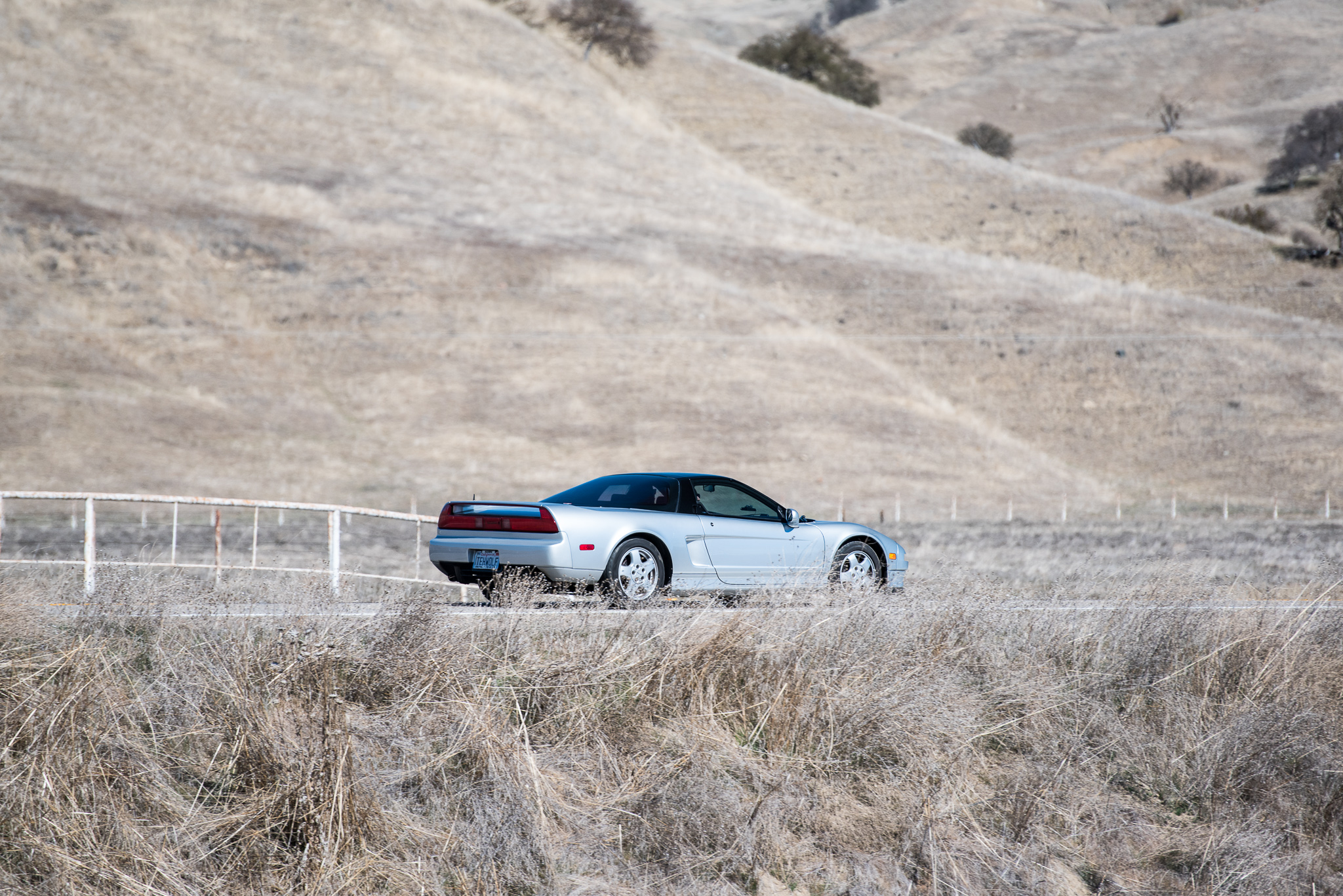 DSC_9032.jpg
