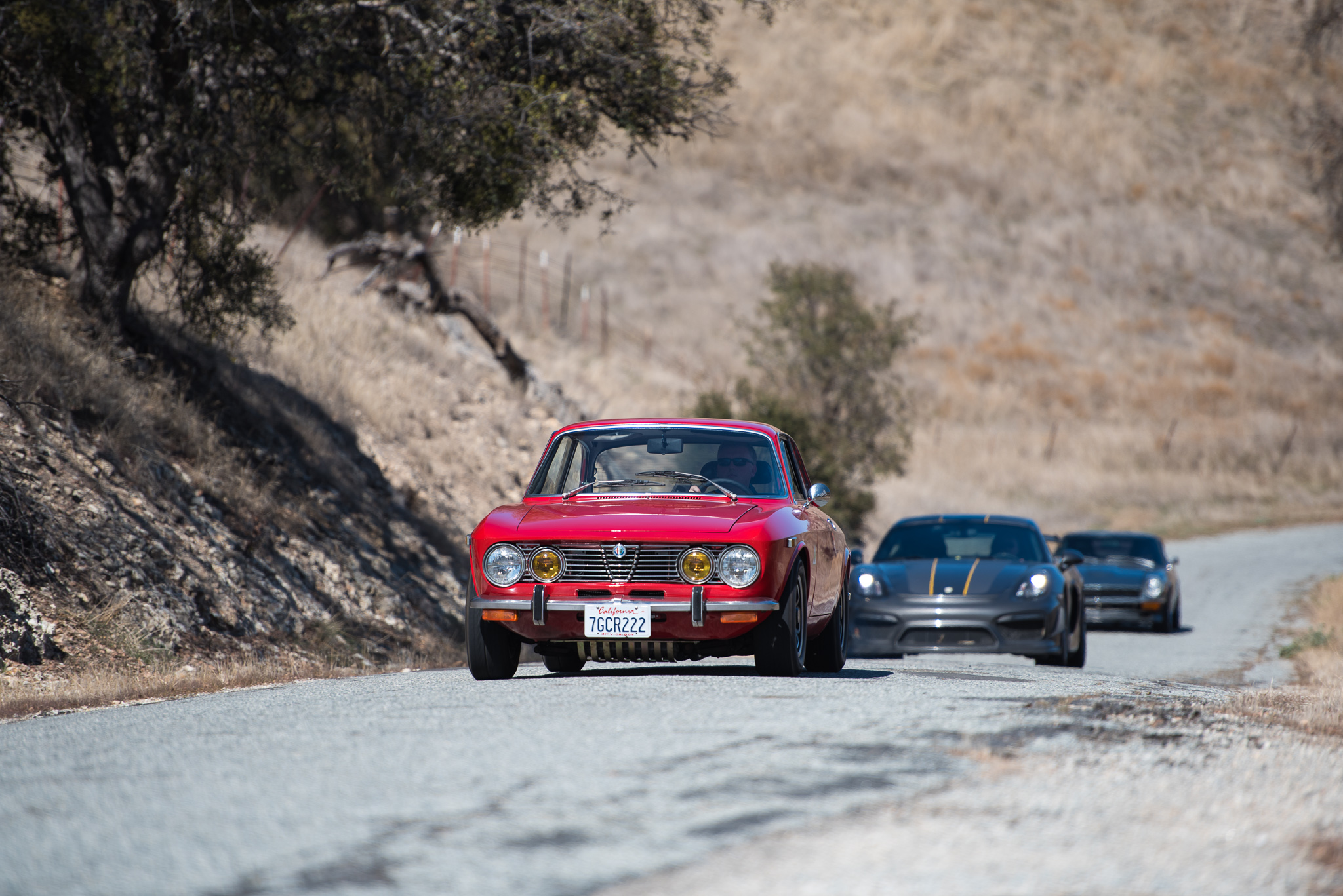DSC_9066.jpg