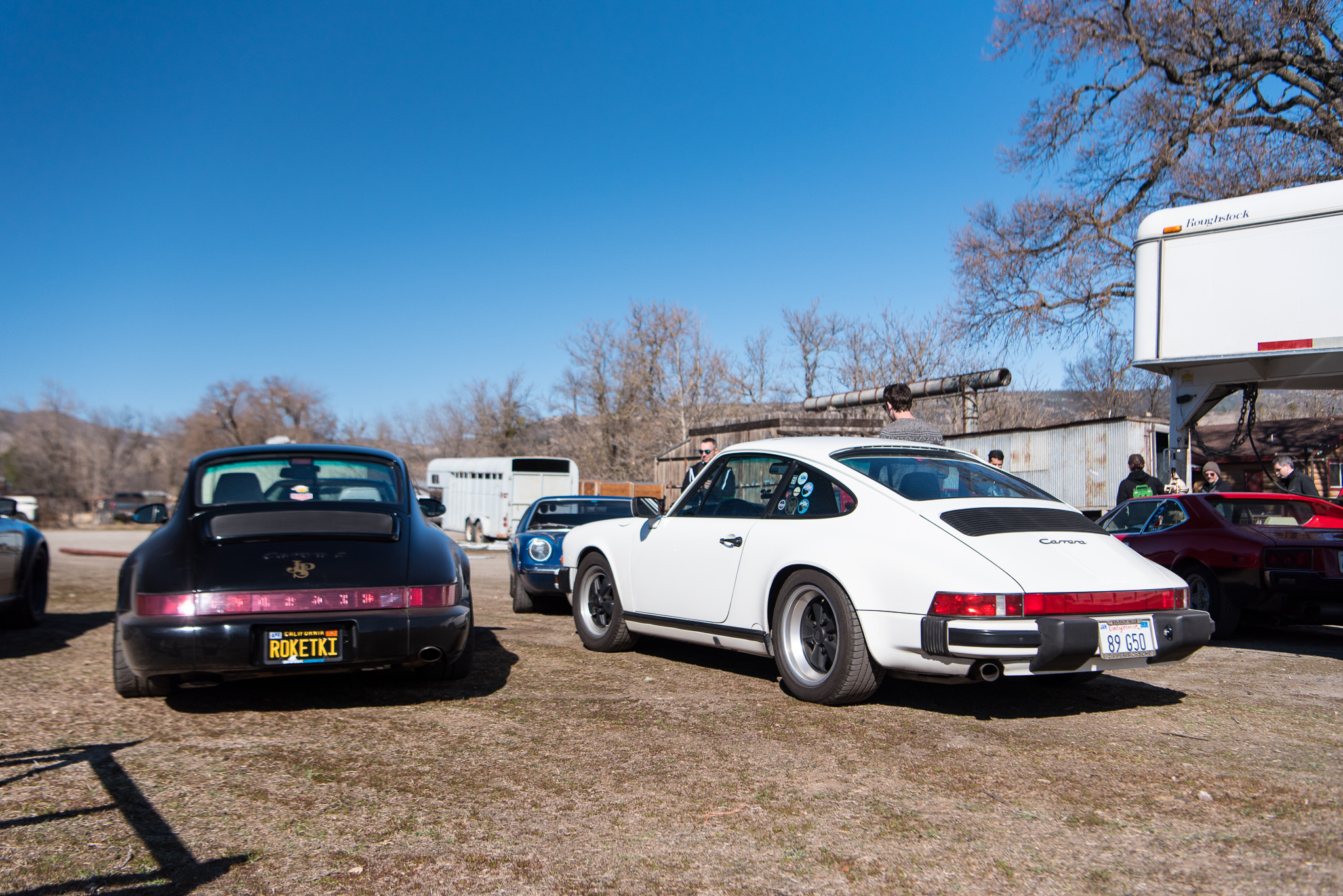 DSC_0535.jpg