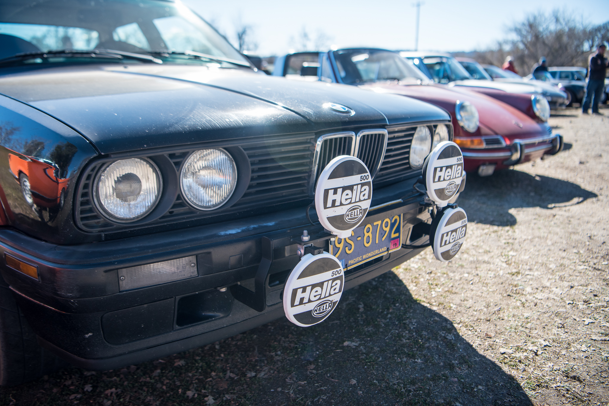 DSC_0556.jpg
