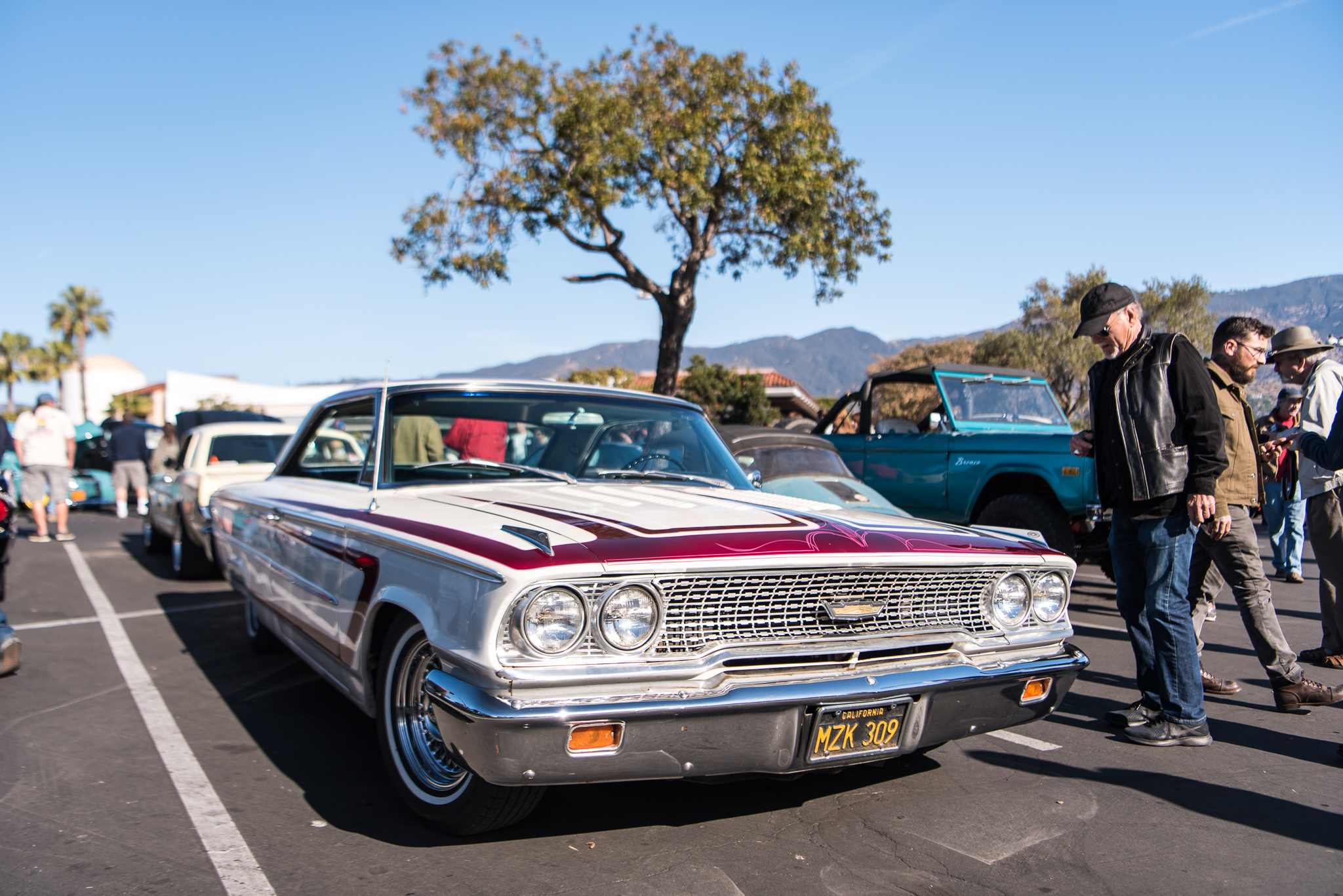 DSC_1906.jpg