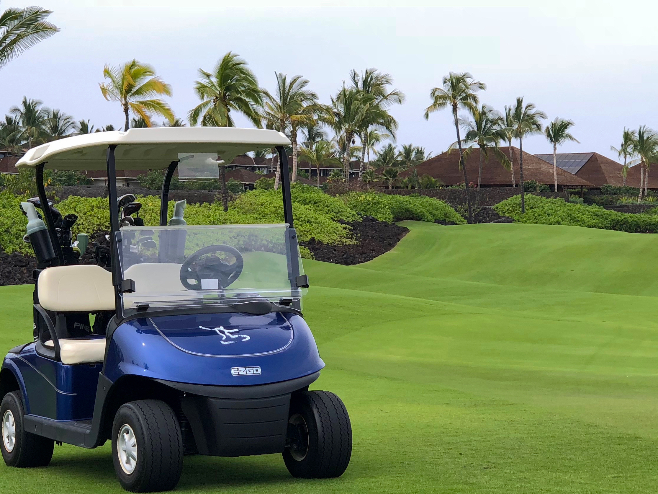 Golf Kart.jpg