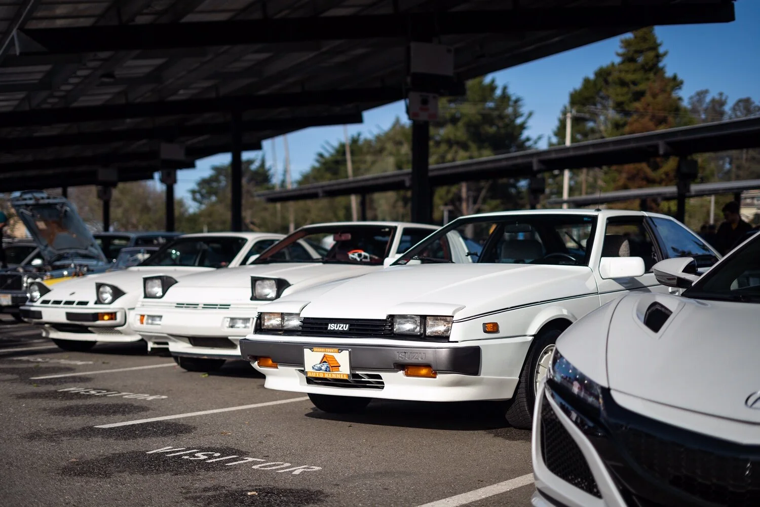 Do as I say.  Not as I do (Total Impulse Buy)