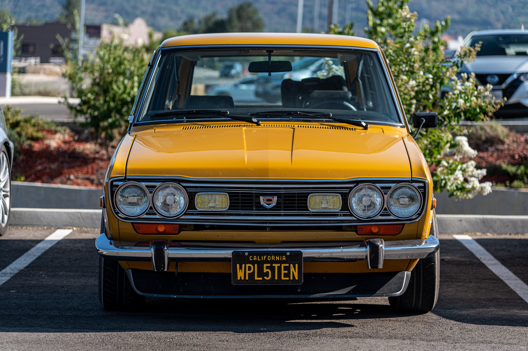 510 Wagon front end .jpg