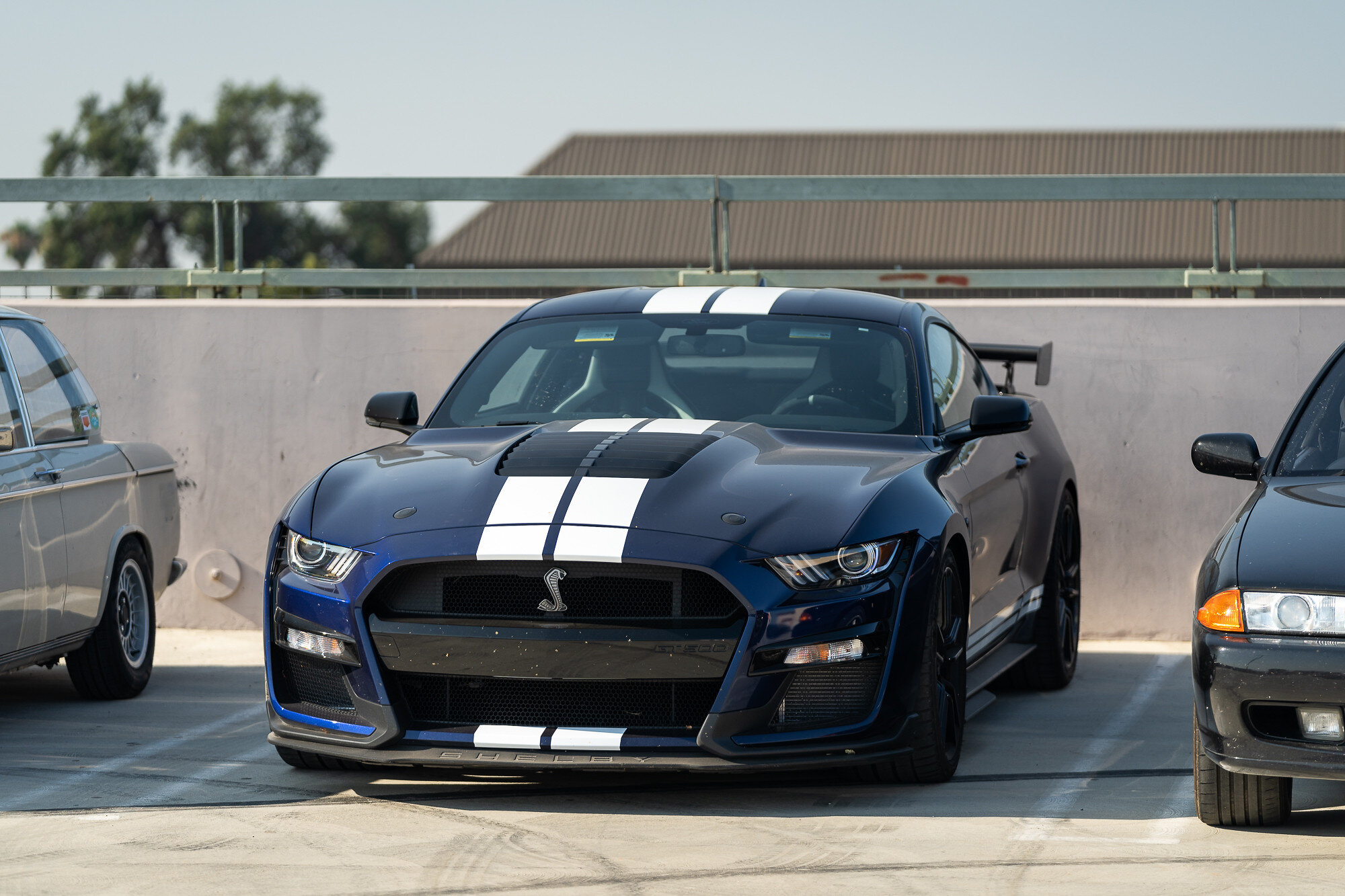 GT500.jpg