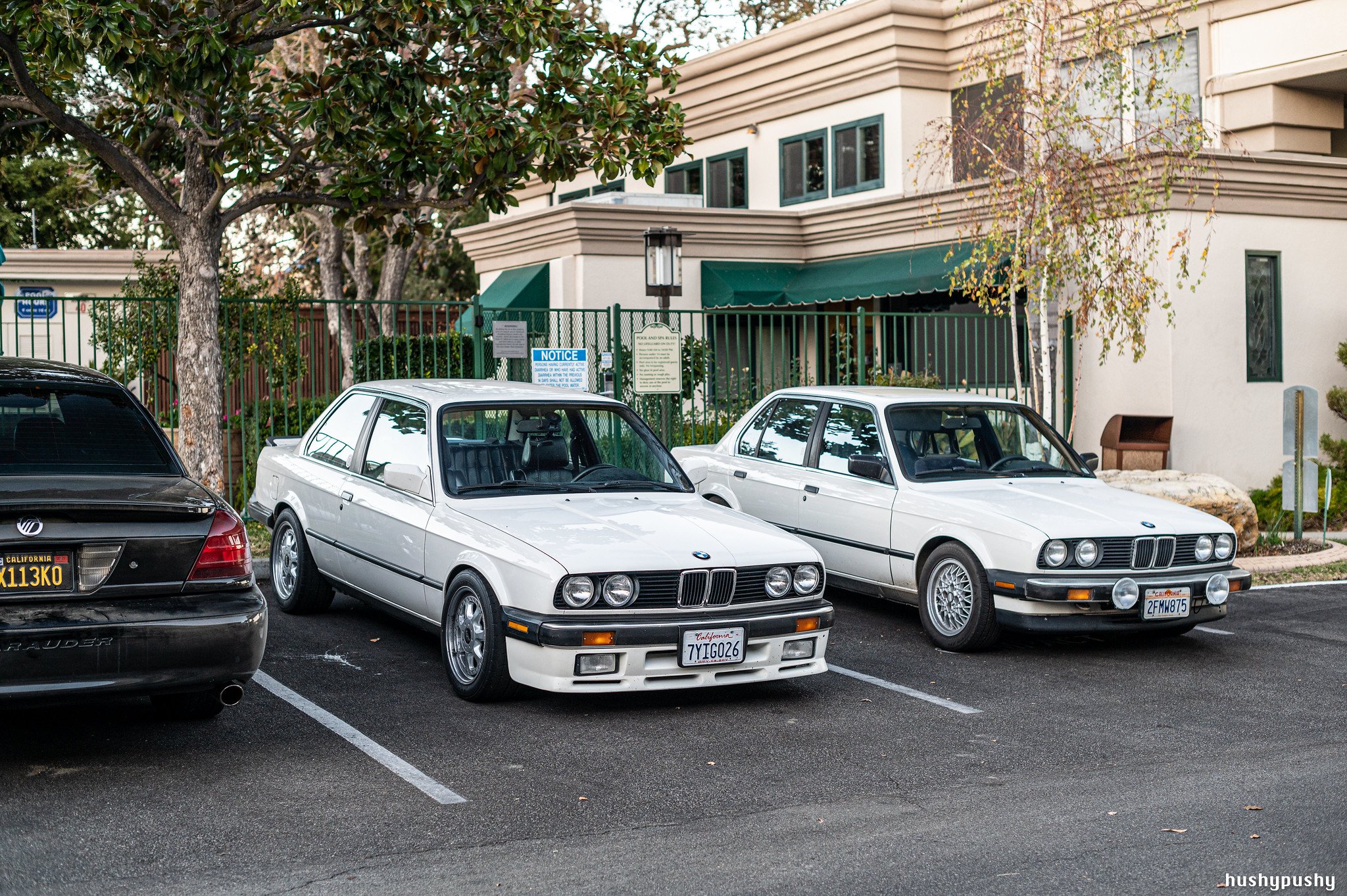 two types of e30.jpg