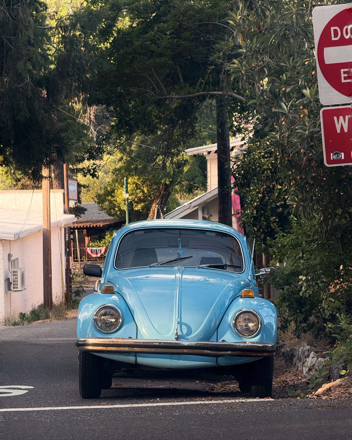 #carspotting in Murphys, CA.

#vwbeetle #vwbug #64impala #chevyimpala