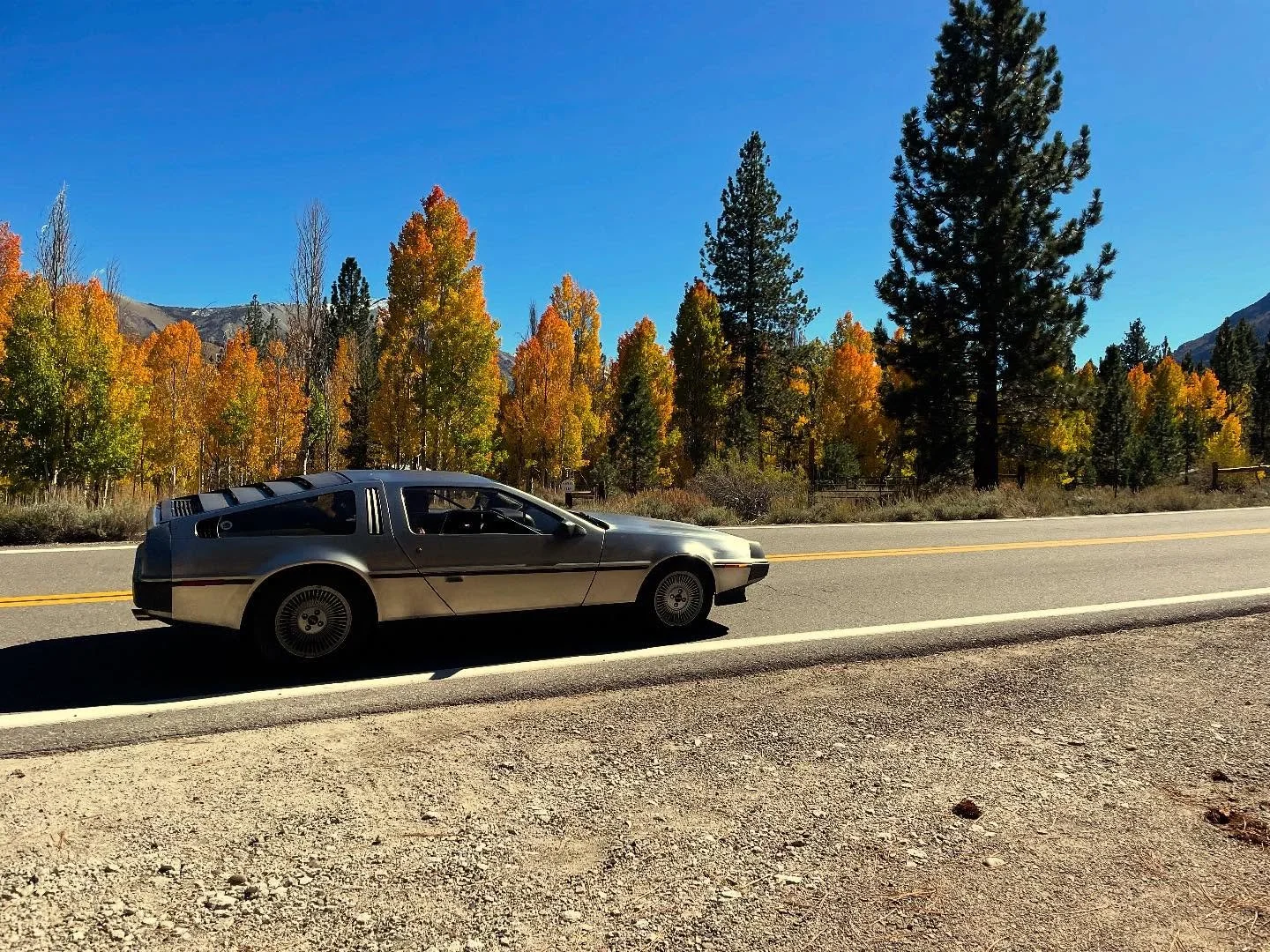 Podcast time! Any questions? Holler in the comments below ⬇️ 

#dwapodcast #drivingwhileawesome #dwarally #sierrarally #delorean
