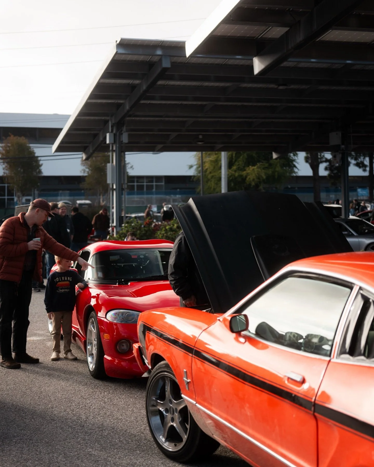 We&rsquo;re recording an episode of the DWA! Podcast today!

Ask us questions here to be answered on the show.