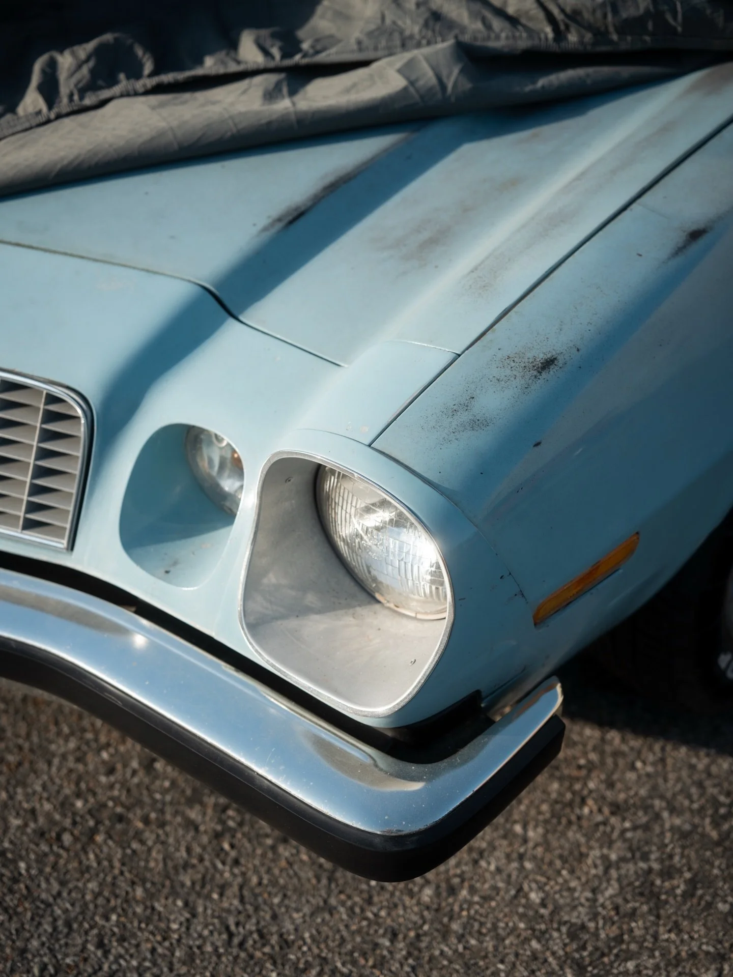 We&rsquo;re recording the DWA! Podcast today! Ask us questions here to be answered on the show.