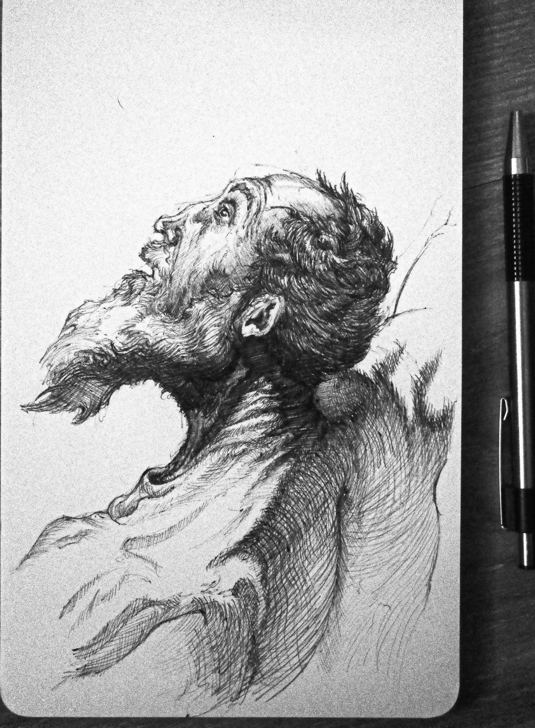 1000131101.jpg