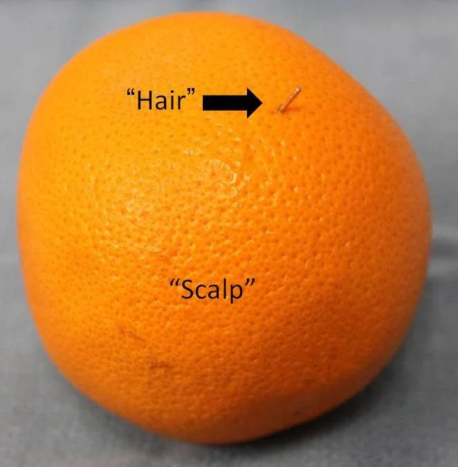 photo1.jpg