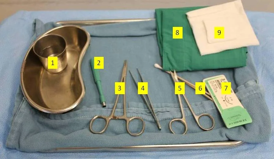 tray set up.jpg