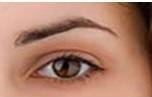 dr donovan eyebrows.jpg