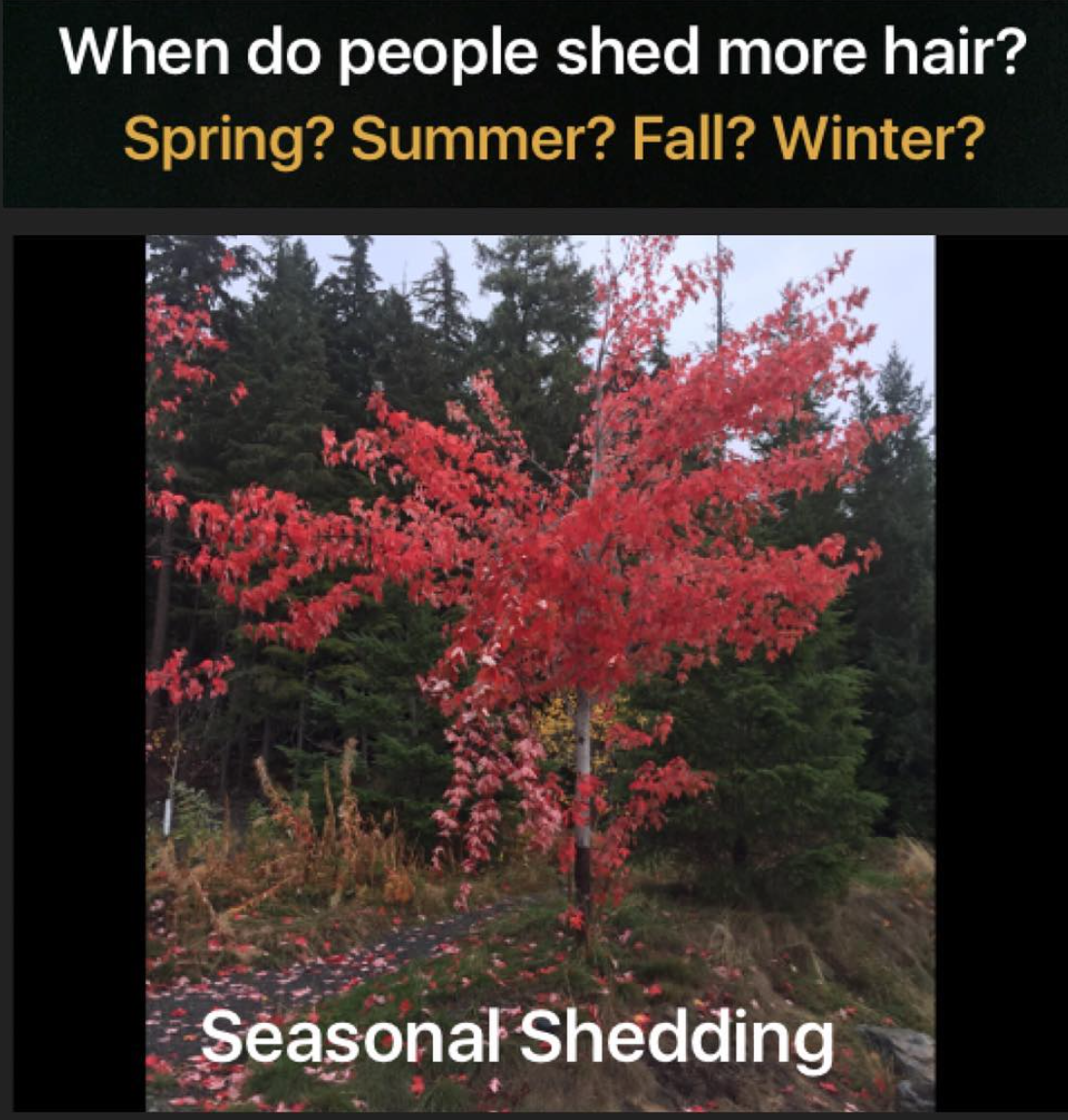 Seasonal Shedding: What seasons do we shed more? — Donovan Hair Clinic