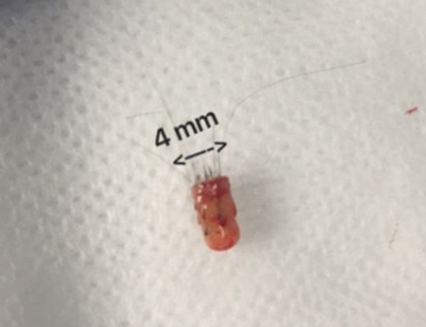 4mm punch.png