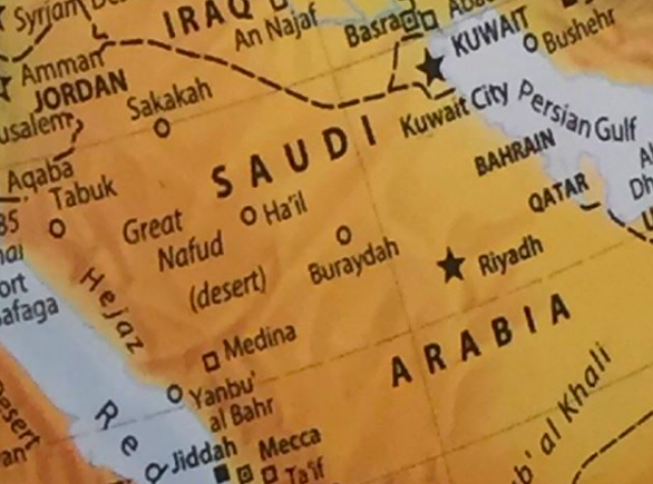 AA-saudi-thyroid dx.png