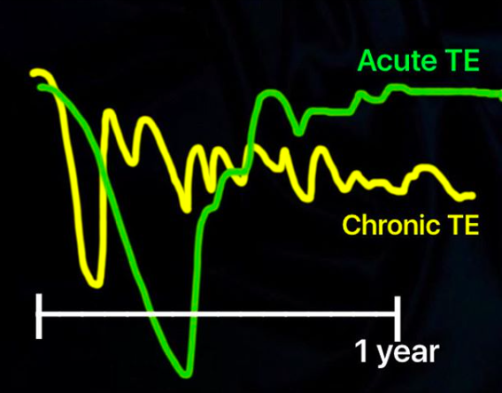 Comparison of Hair Density Over TIme in Patients with Chronic Telogen Effluvium vs Acute Telogen Effluvium. In CTE, the hair drops to a new density and then remains at that density for many, many years. in acute TE, the hair grow back once the trigger is identified.