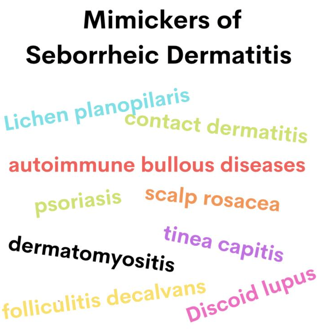 The Diagnosis and Treatment of Scalp Seborrheic Dermatitis: A Brief ...