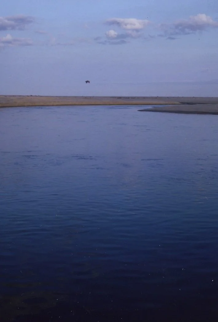 Afar_Journal010.jpg