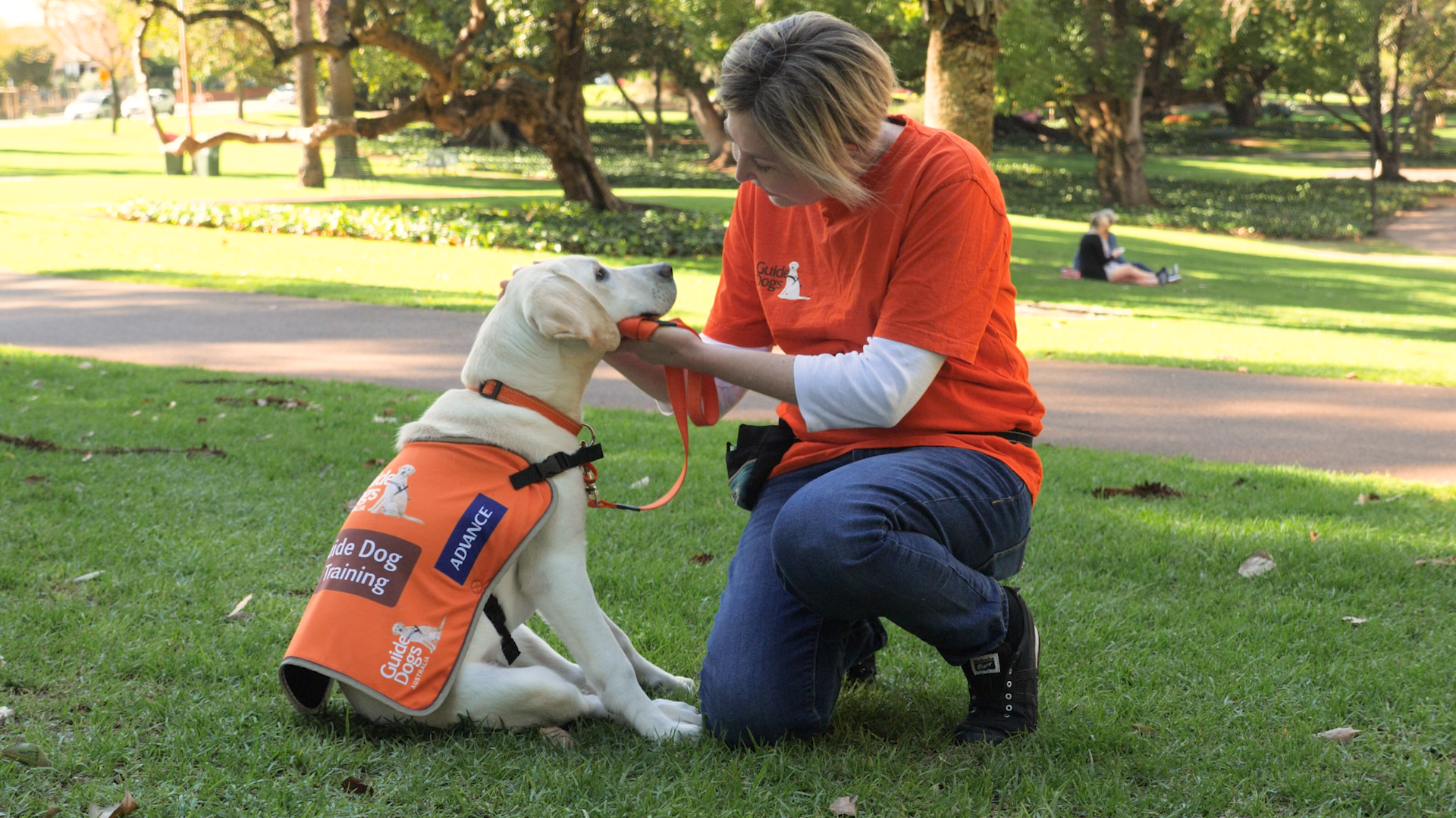 Guide Dogs WA - Guide Dog Update v4 (16x9).00_01_28_21.Still002.png