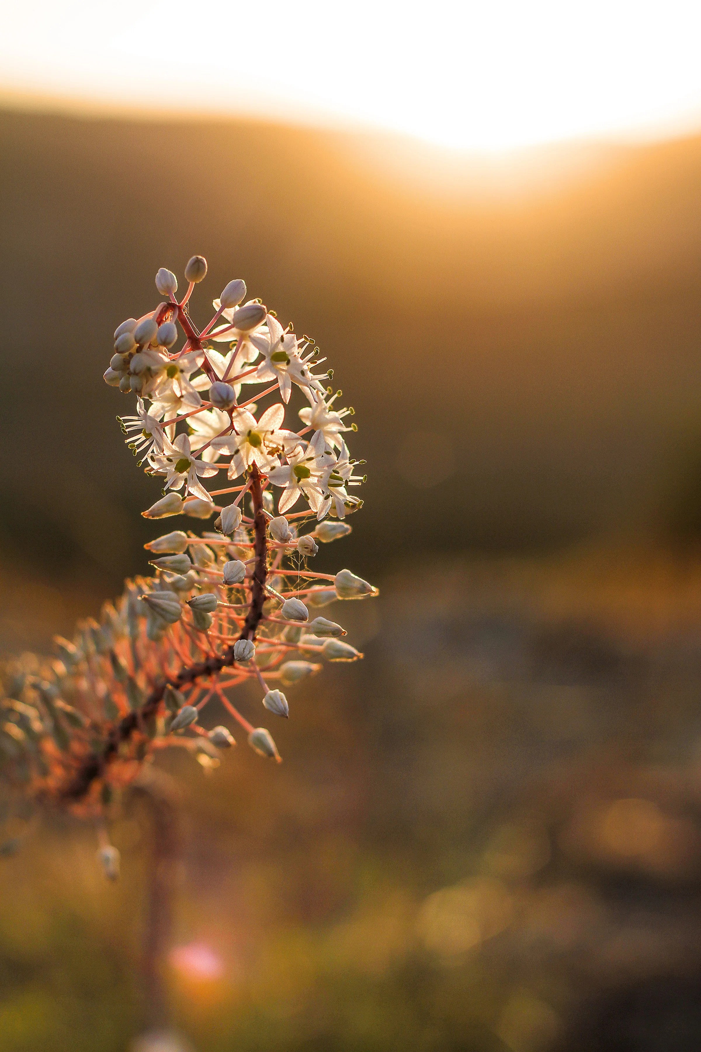 Landschafsfotografie von Alexander Zachen, Balance-Photography