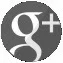 Google+Icon(1).jpg