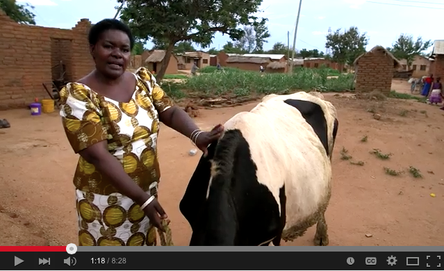 Video: The inspiring story of Tanzanian micro-finance pioneer Dr Victoria Kisyombe 