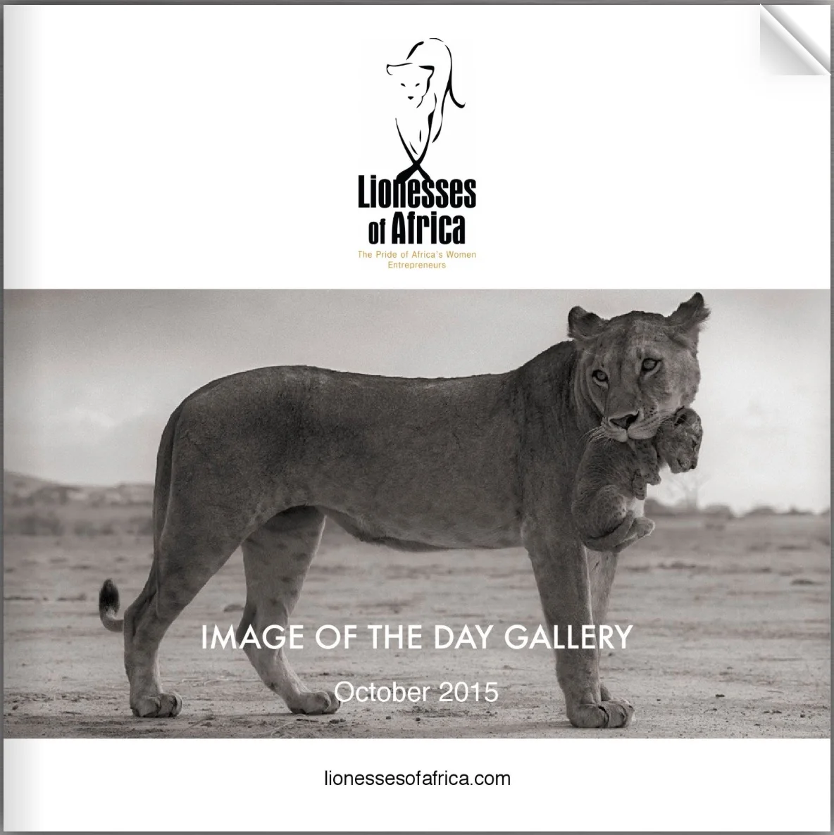 October 2015 Image of the Day Gallery: FREE e-Book celebrating Lionesses of Africa through the power of images