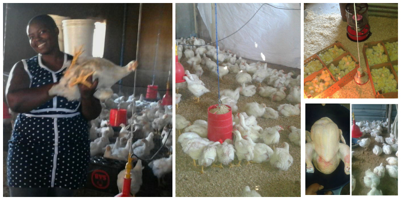 Innocentia Maine The Startup Story Of A Young South African