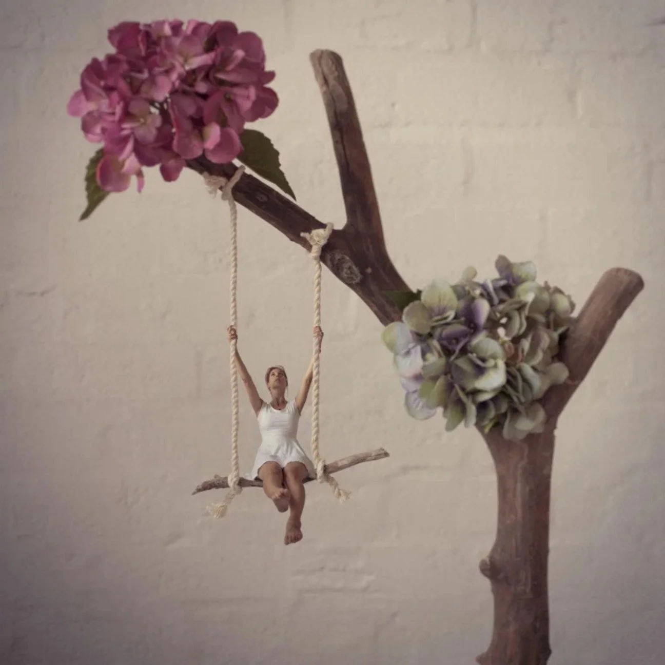 Screenshot 2016-05-27 12.06.40.jpg