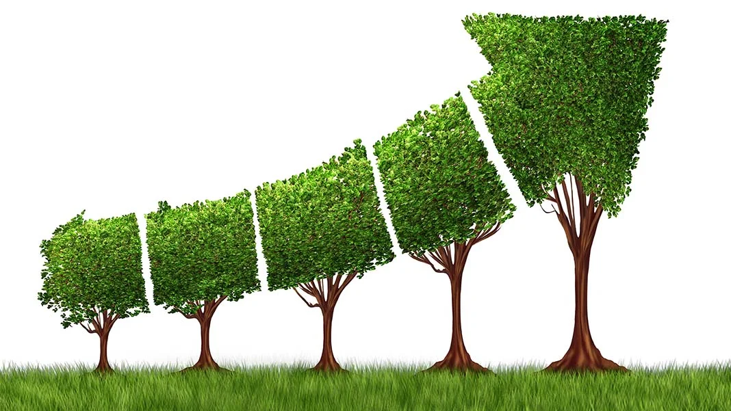 The Secret to Building Sustainable Businesses