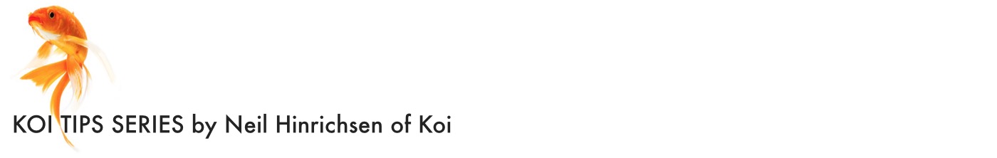 KoiTipsSeries_Header.jpg