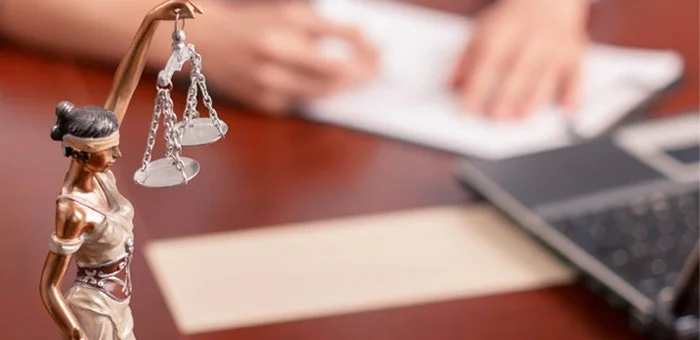 Lionesses and the Law - A guide to legal entities in South Africa